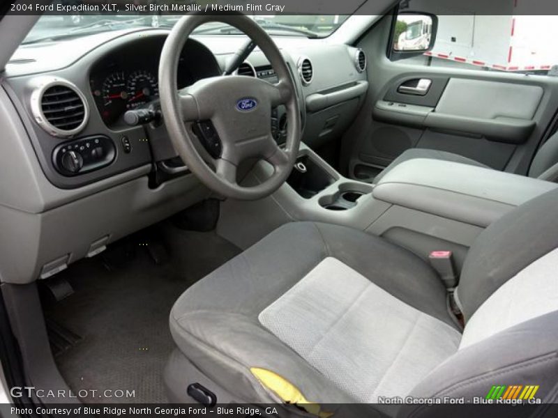 Silver Birch Metallic / Medium Flint Gray 2004 Ford Expedition XLT