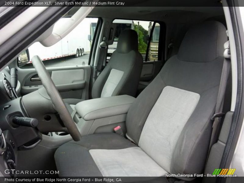 Silver Birch Metallic / Medium Flint Gray 2004 Ford Expedition XLT