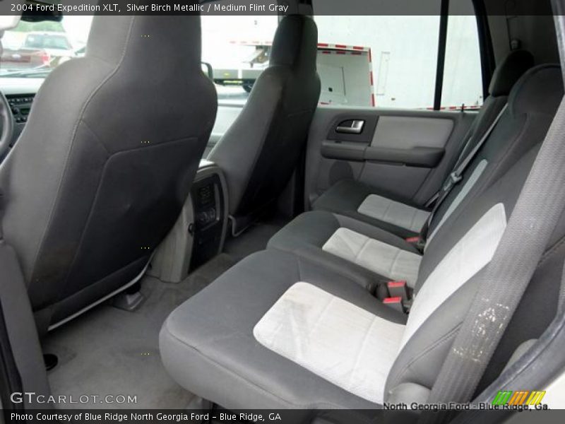 Silver Birch Metallic / Medium Flint Gray 2004 Ford Expedition XLT