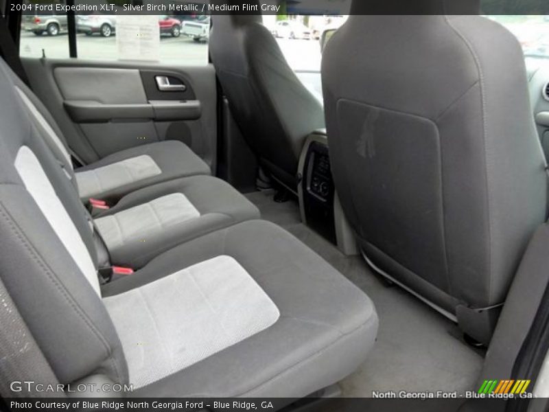 Silver Birch Metallic / Medium Flint Gray 2004 Ford Expedition XLT