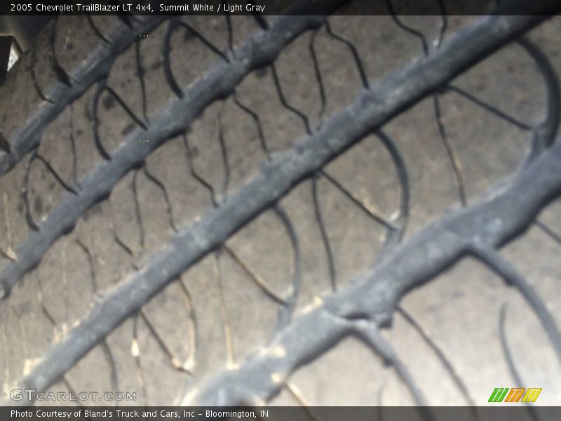 Summit White / Light Gray 2005 Chevrolet TrailBlazer LT 4x4