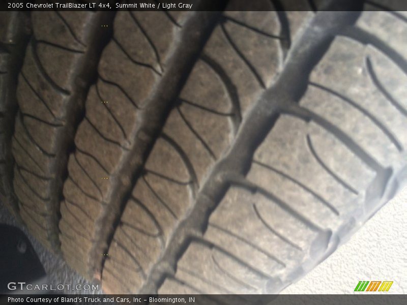 Summit White / Light Gray 2005 Chevrolet TrailBlazer LT 4x4