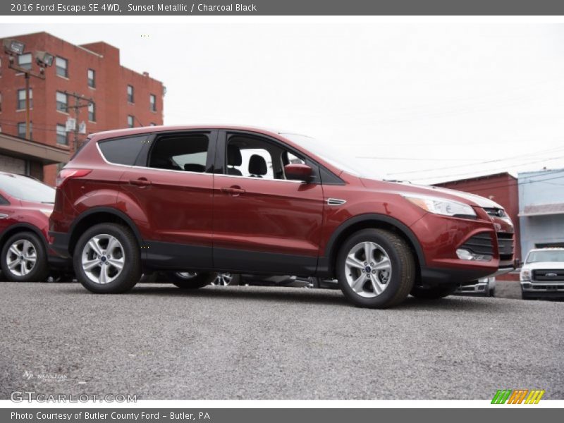 Sunset Metallic / Charcoal Black 2016 Ford Escape SE 4WD