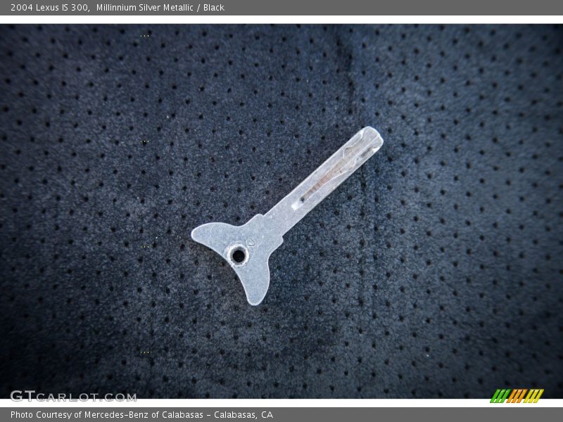 Millinnium Silver Metallic / Black 2004 Lexus IS 300