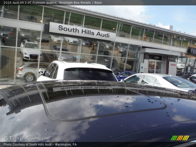 Moonlight Blue Metallic / Black 2016 Audi A4 2.0T Premium quattro
