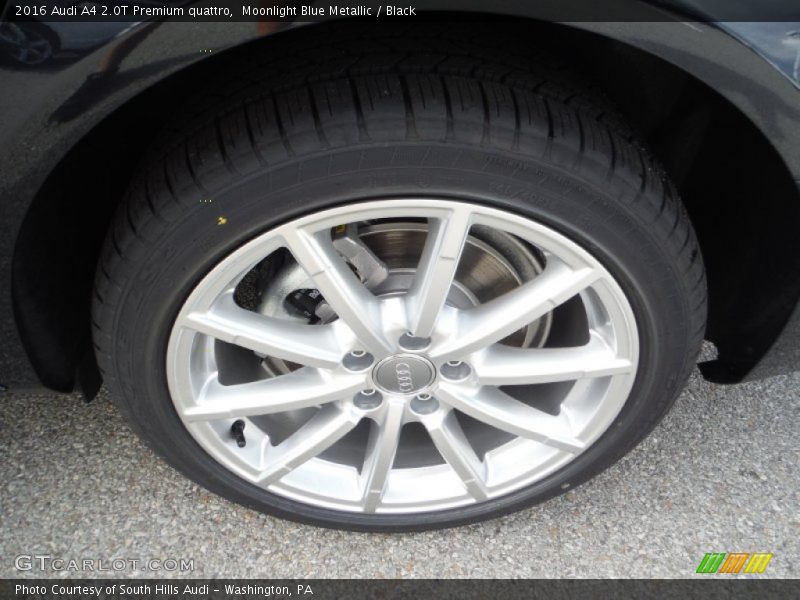 Moonlight Blue Metallic / Black 2016 Audi A4 2.0T Premium quattro