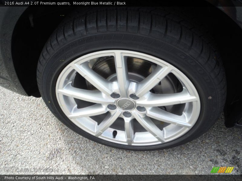 Moonlight Blue Metallic / Black 2016 Audi A4 2.0T Premium quattro