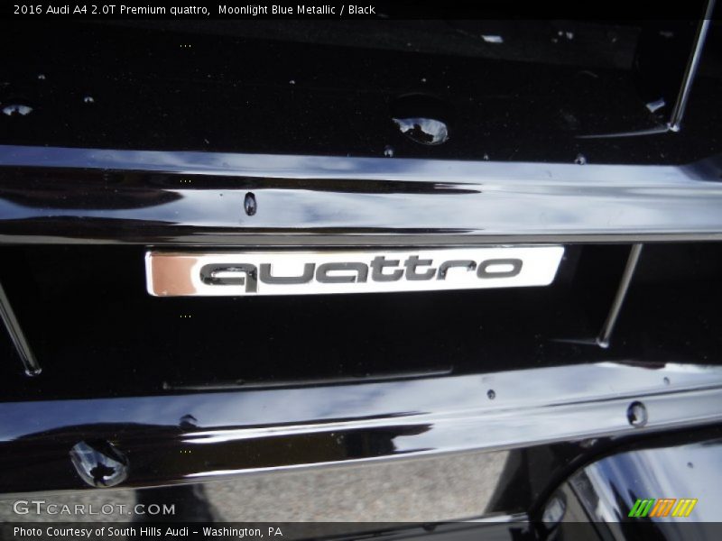 Moonlight Blue Metallic / Black 2016 Audi A4 2.0T Premium quattro