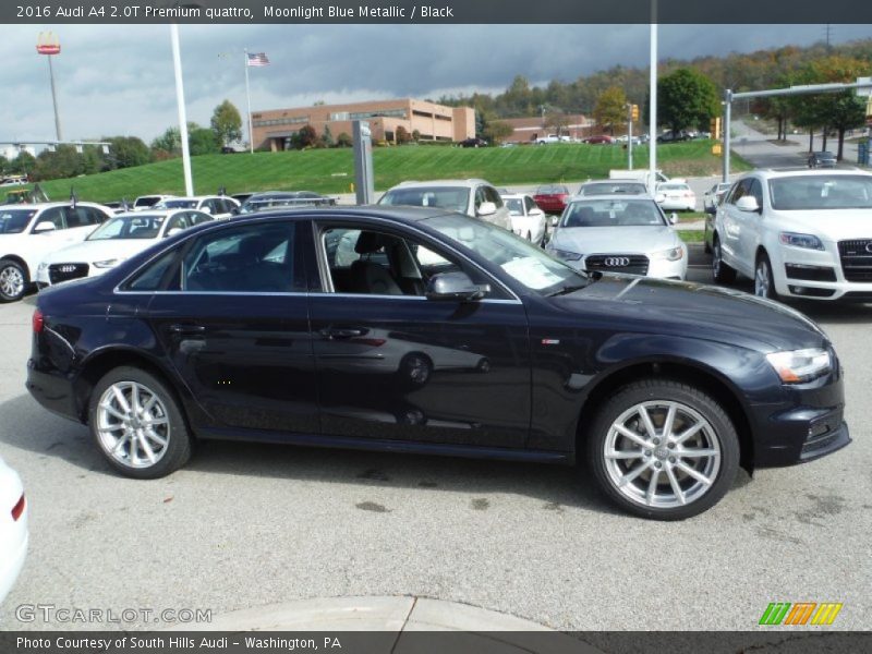 Moonlight Blue Metallic / Black 2016 Audi A4 2.0T Premium quattro