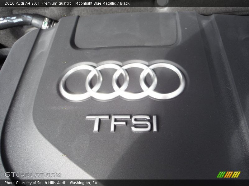 Moonlight Blue Metallic / Black 2016 Audi A4 2.0T Premium quattro