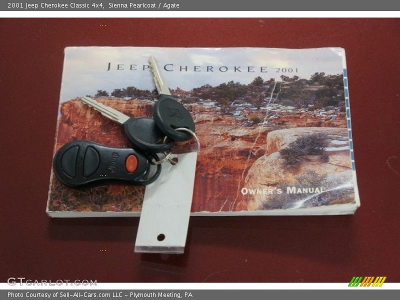Sienna Pearlcoat / Agate 2001 Jeep Cherokee Classic 4x4