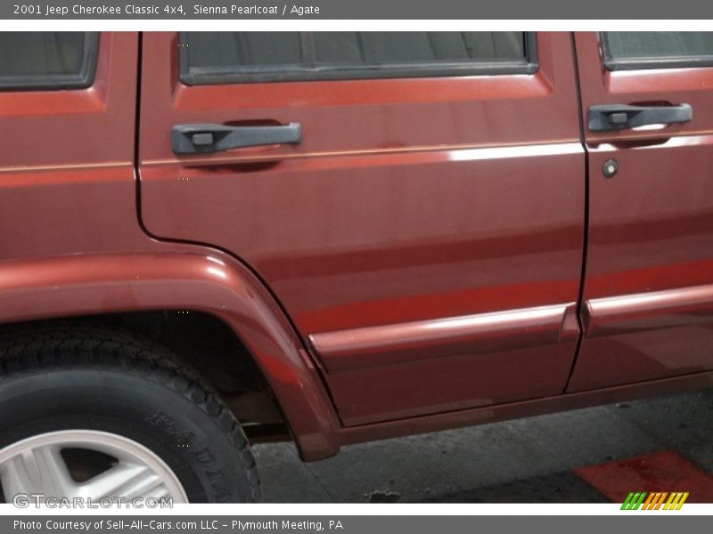 Sienna Pearlcoat / Agate 2001 Jeep Cherokee Classic 4x4