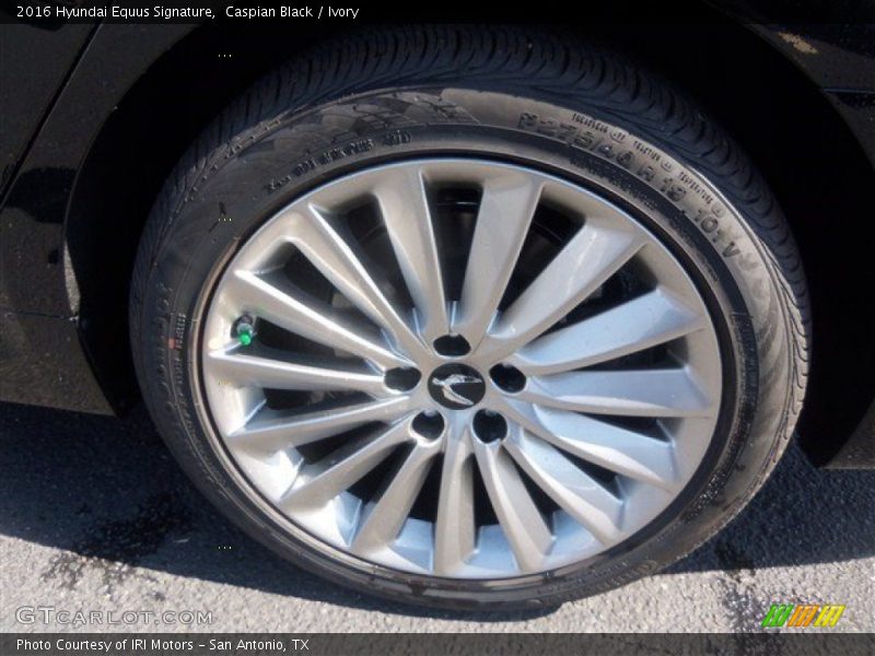  2016 Equus Signature Wheel