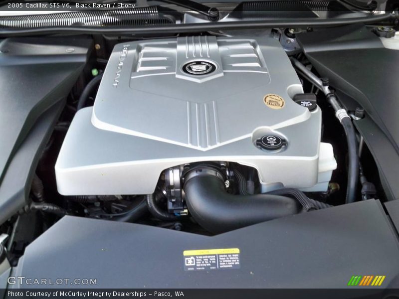 Black Raven / Ebony 2005 Cadillac STS V6