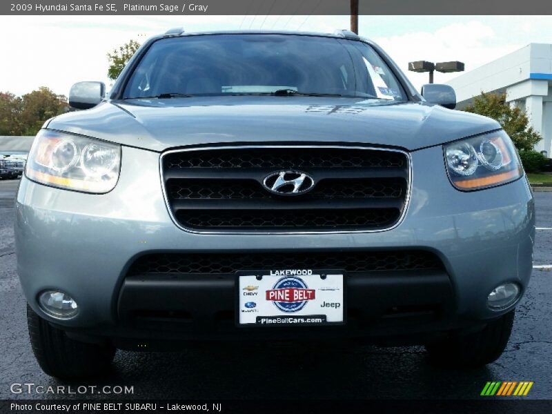 Platinum Sage / Gray 2009 Hyundai Santa Fe SE