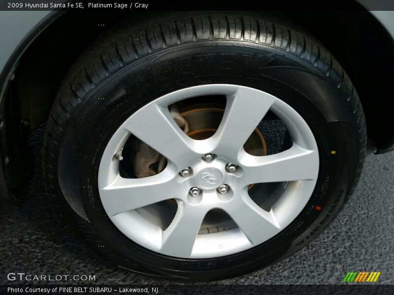 Platinum Sage / Gray 2009 Hyundai Santa Fe SE