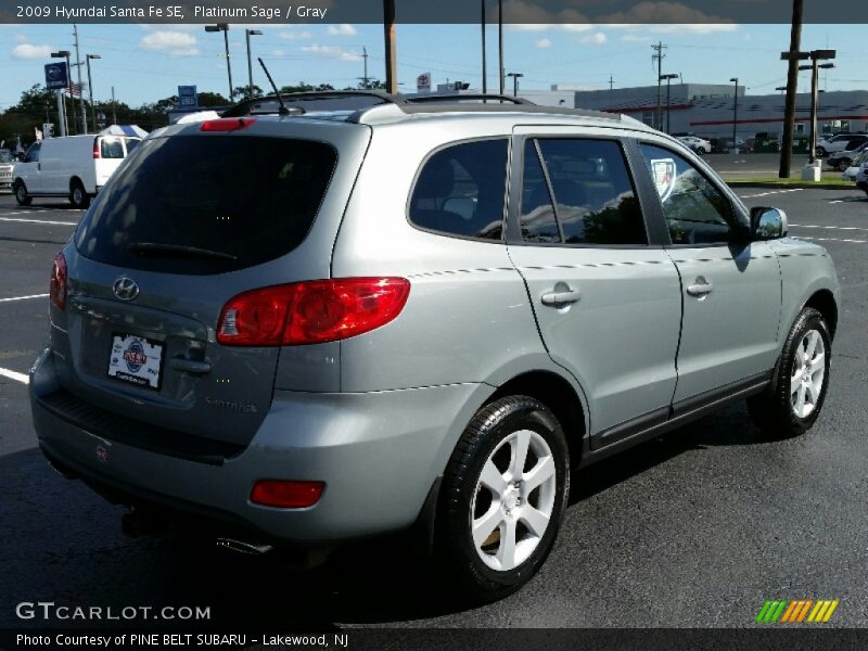 Platinum Sage / Gray 2009 Hyundai Santa Fe SE