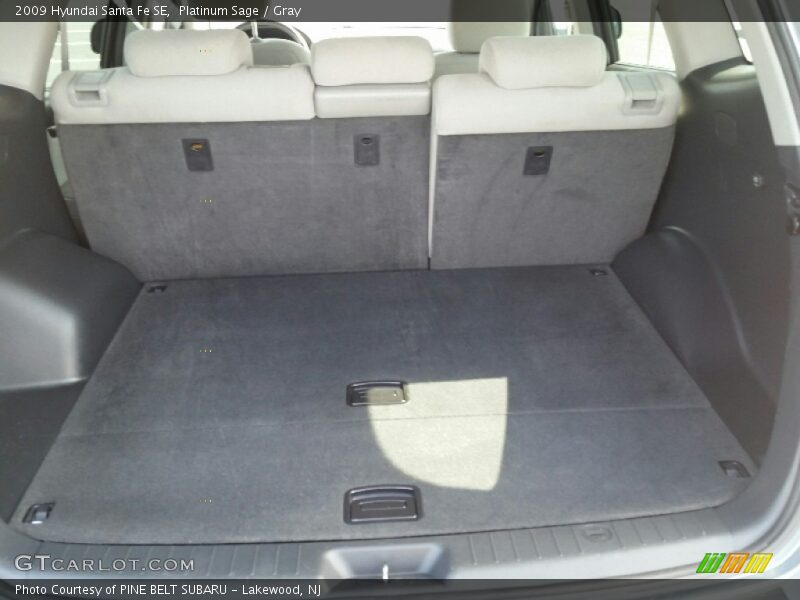 Platinum Sage / Gray 2009 Hyundai Santa Fe SE