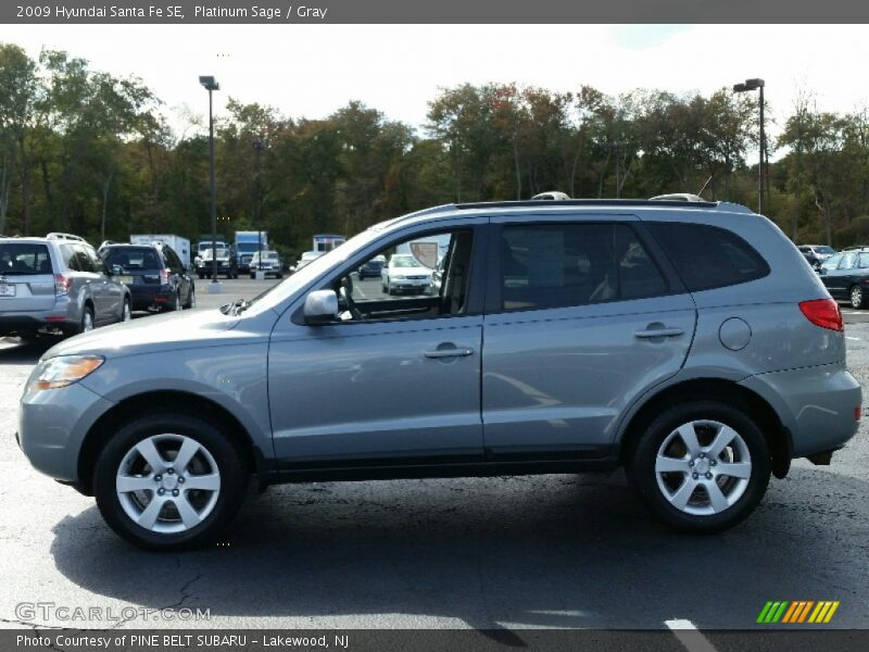 Platinum Sage / Gray 2009 Hyundai Santa Fe SE