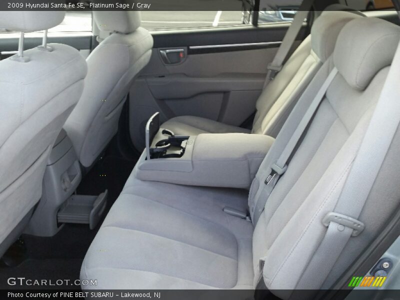 Platinum Sage / Gray 2009 Hyundai Santa Fe SE