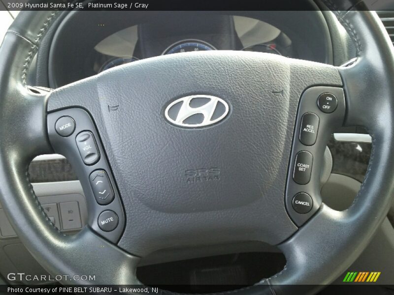 Platinum Sage / Gray 2009 Hyundai Santa Fe SE