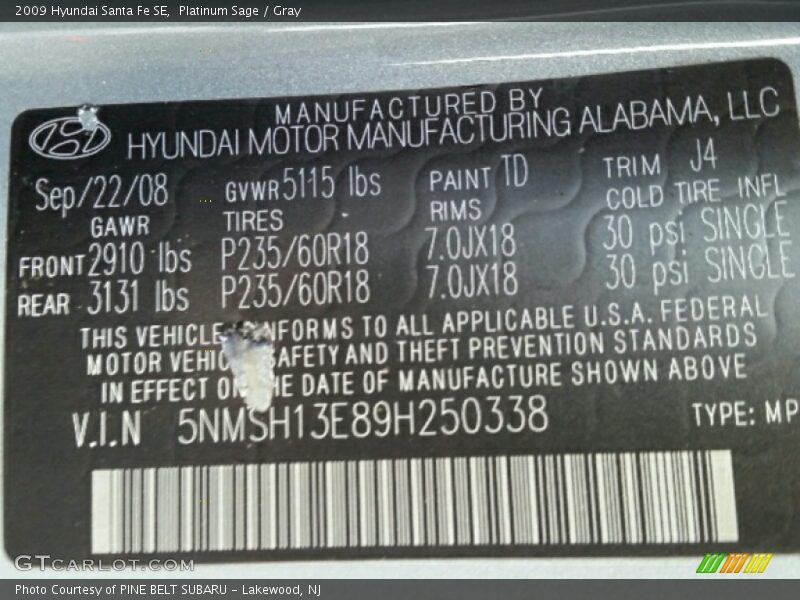 Platinum Sage / Gray 2009 Hyundai Santa Fe SE