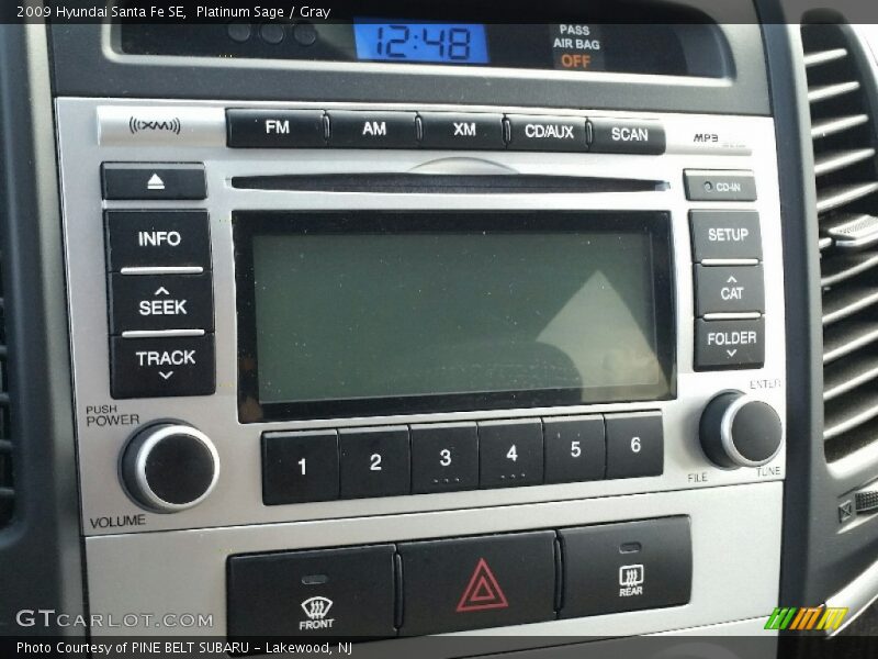 Platinum Sage / Gray 2009 Hyundai Santa Fe SE