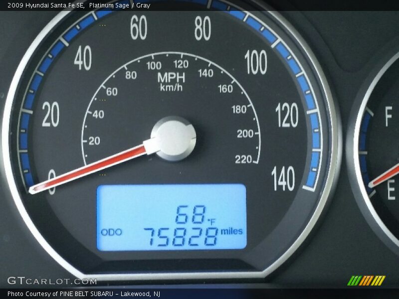 Platinum Sage / Gray 2009 Hyundai Santa Fe SE