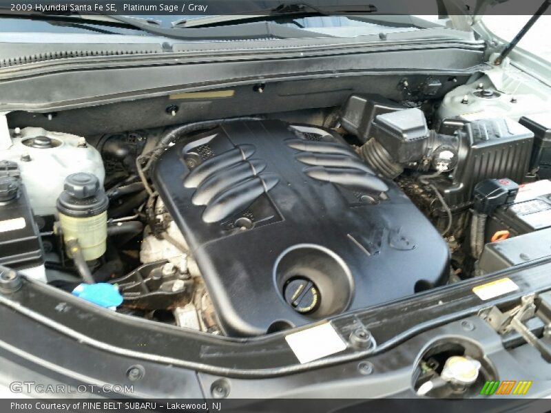 Platinum Sage / Gray 2009 Hyundai Santa Fe SE