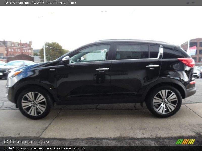 Black Cherry / Black 2016 Kia Sportage EX AWD