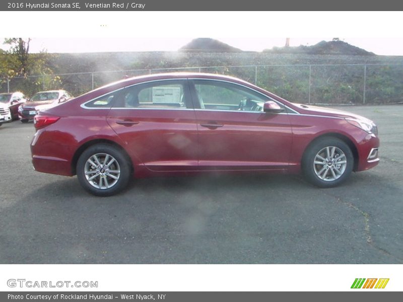 Venetian Red / Gray 2016 Hyundai Sonata SE
