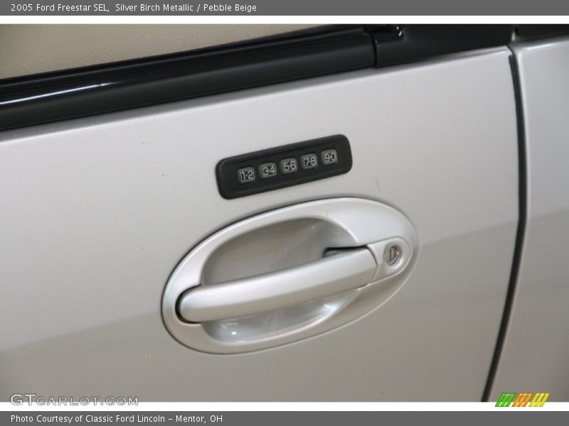 Silver Birch Metallic / Pebble Beige 2005 Ford Freestar SEL