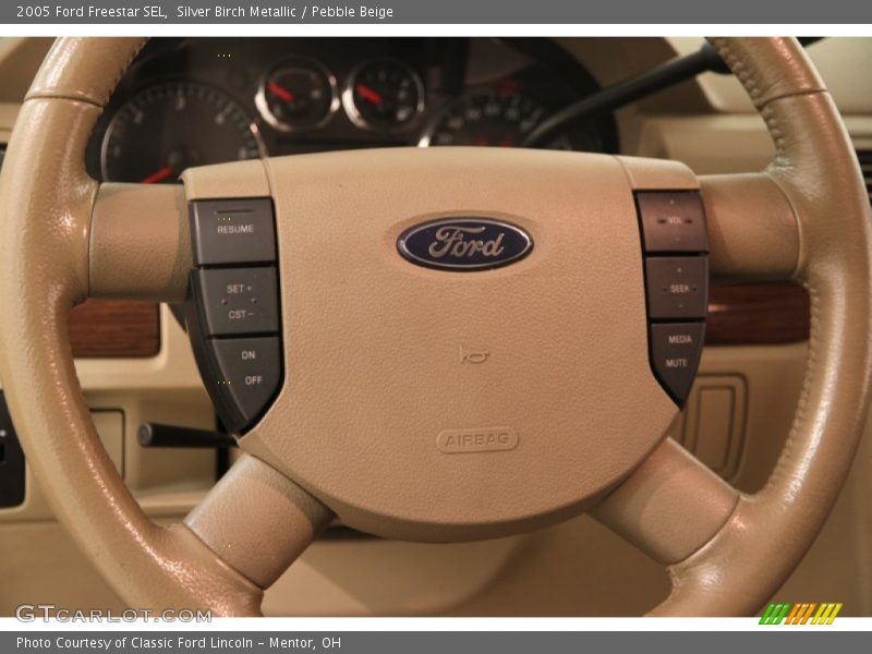 Silver Birch Metallic / Pebble Beige 2005 Ford Freestar SEL
