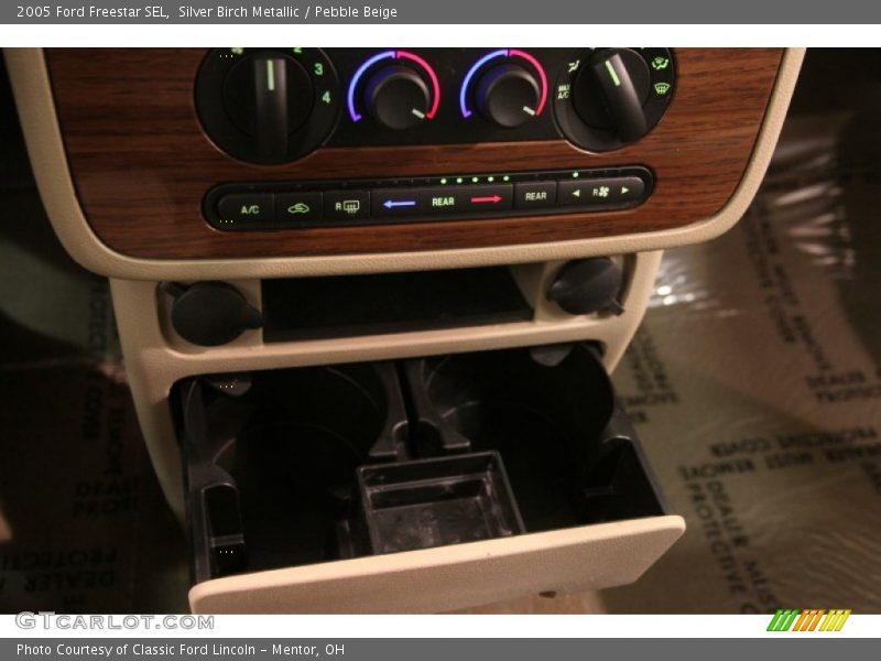 Silver Birch Metallic / Pebble Beige 2005 Ford Freestar SEL