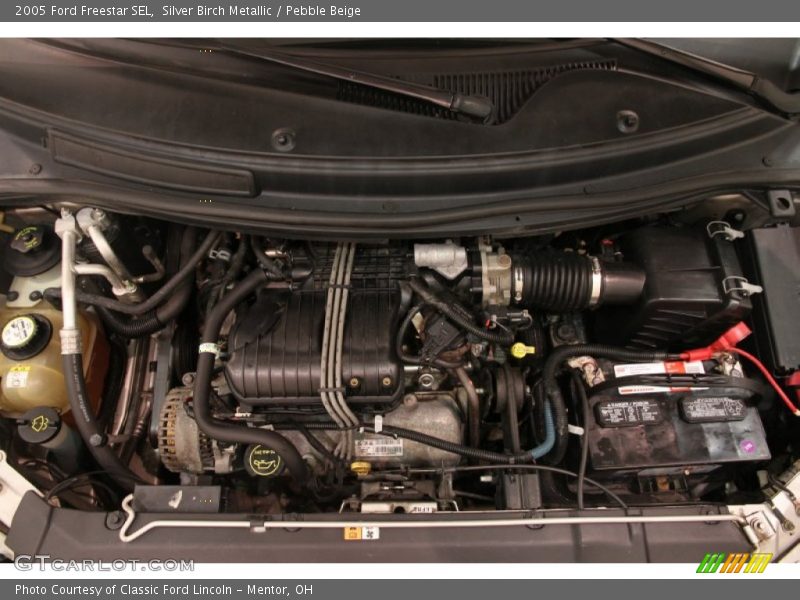 Silver Birch Metallic / Pebble Beige 2005 Ford Freestar SEL