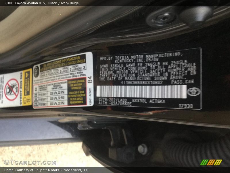 Black / Ivory Beige 2008 Toyota Avalon XLS