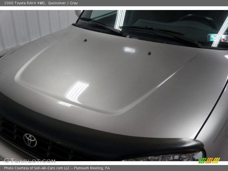 Quicksilver / Gray 2000 Toyota RAV4 4WD