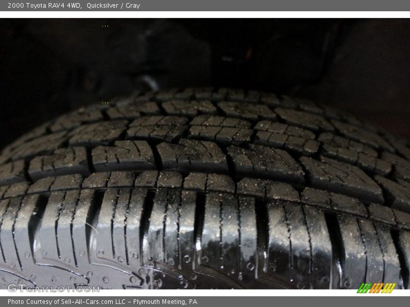 Quicksilver / Gray 2000 Toyota RAV4 4WD