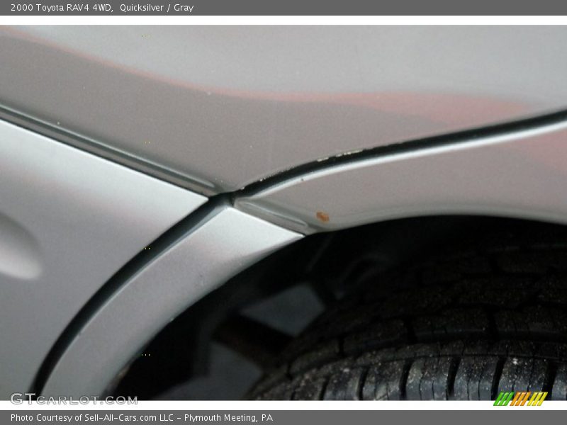 Quicksilver / Gray 2000 Toyota RAV4 4WD
