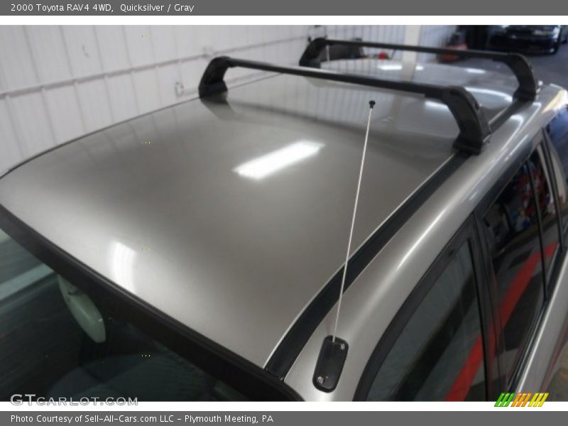 Quicksilver / Gray 2000 Toyota RAV4 4WD