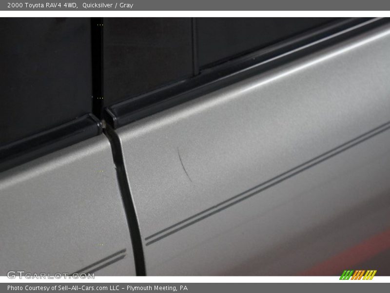 Quicksilver / Gray 2000 Toyota RAV4 4WD