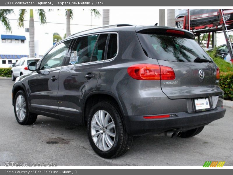 Pepper Gray Metallic / Black 2014 Volkswagen Tiguan SE