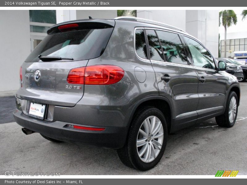 Pepper Gray Metallic / Black 2014 Volkswagen Tiguan SE