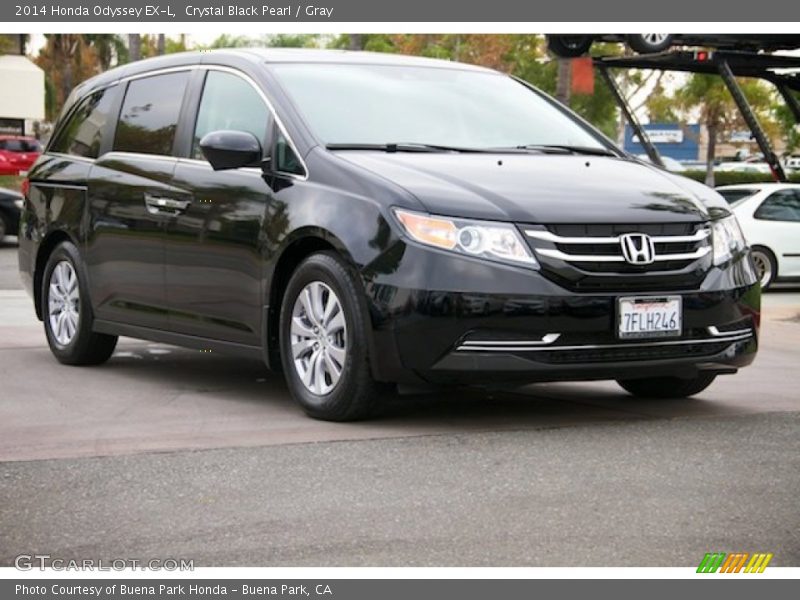 Crystal Black Pearl / Gray 2014 Honda Odyssey EX-L
