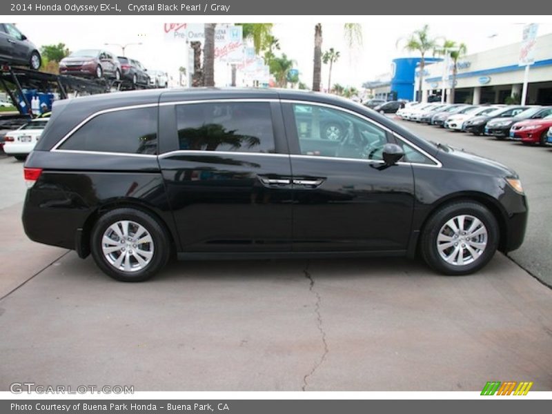 Crystal Black Pearl / Gray 2014 Honda Odyssey EX-L