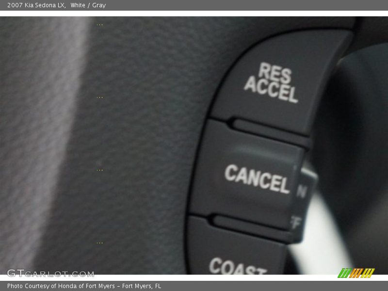 White / Gray 2007 Kia Sedona LX