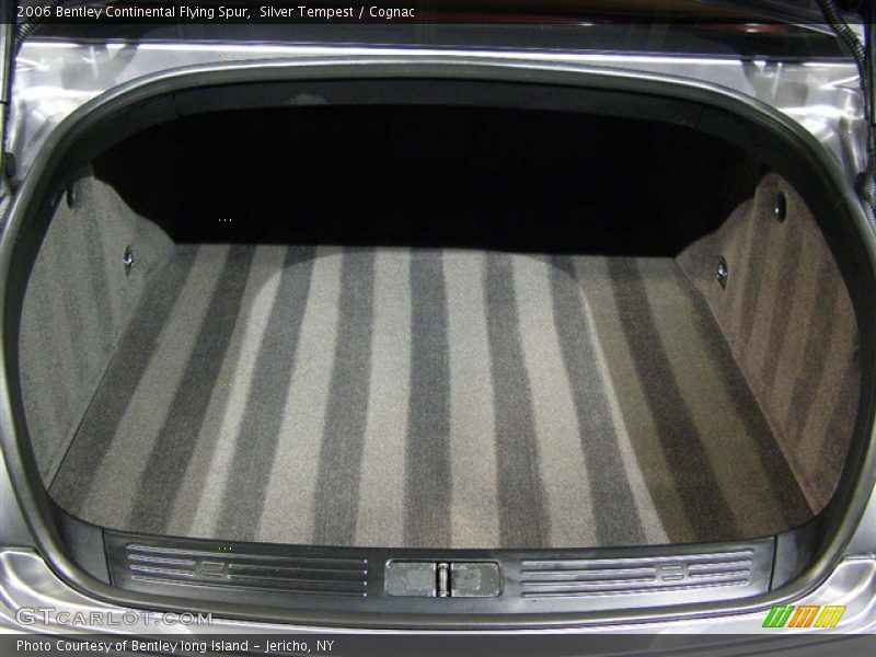 Silver Tempest / Cognac 2006 Bentley Continental Flying Spur