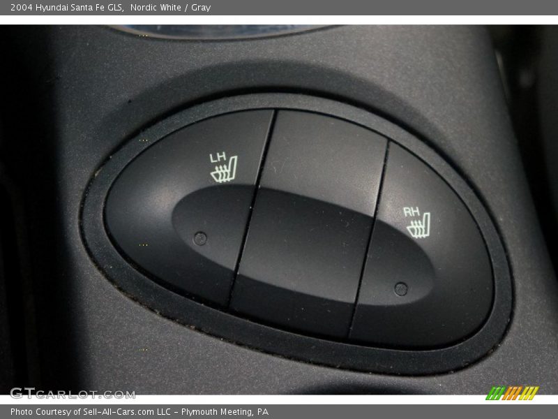Nordic White / Gray 2004 Hyundai Santa Fe GLS