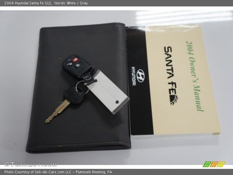 Nordic White / Gray 2004 Hyundai Santa Fe GLS