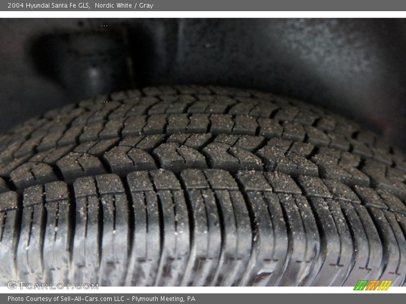 Nordic White / Gray 2004 Hyundai Santa Fe GLS